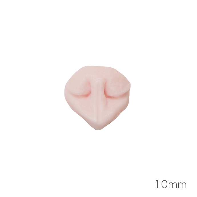 개 코 (낮은 코 타입)