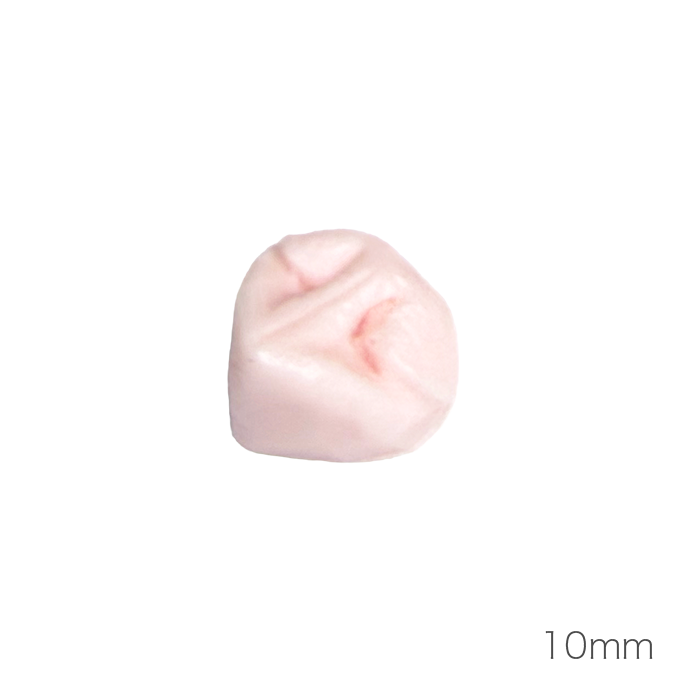 개 코 (낮은 코 타입)