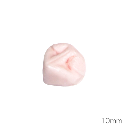개 코 (낮은 코 타입)