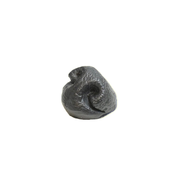 Dog Nose