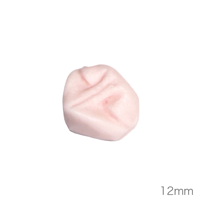 개 코 (낮은 코 타입)