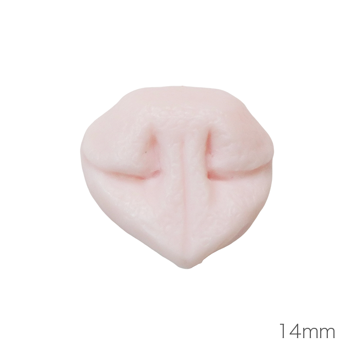 개 코 (낮은 코 타입)