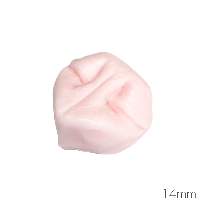 개 코 (낮은 코 타입)