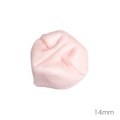 개 코 (낮은 코 타입)