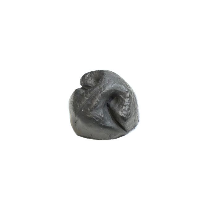 Dog Nose