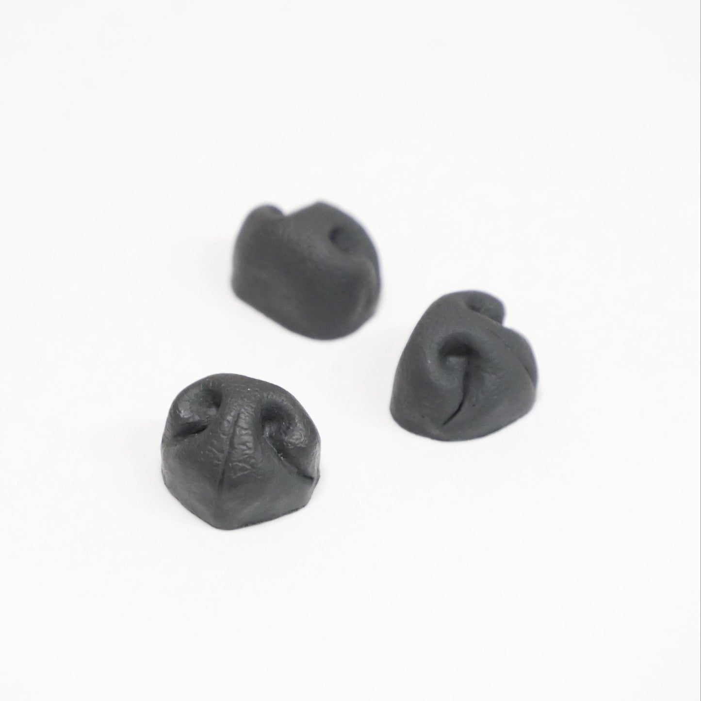 Dog Nose