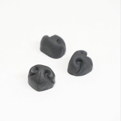 Dog Nose
