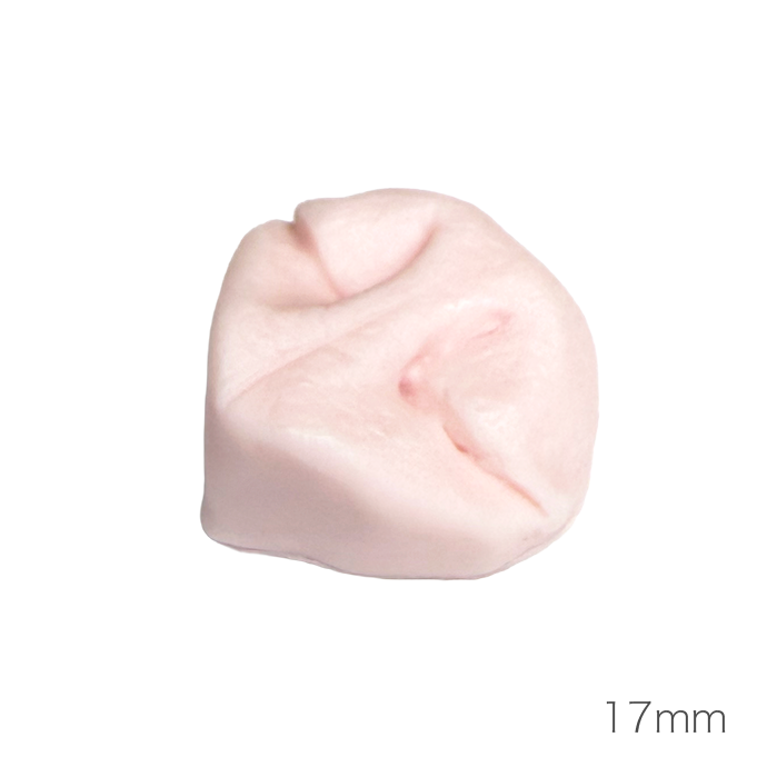 개 코 (낮은 코 타입)