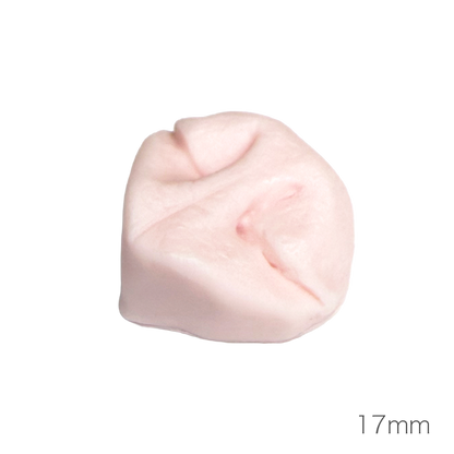 개 코 (낮은 코 타입)
