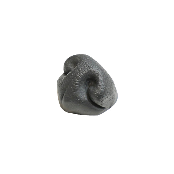 Dog Nose