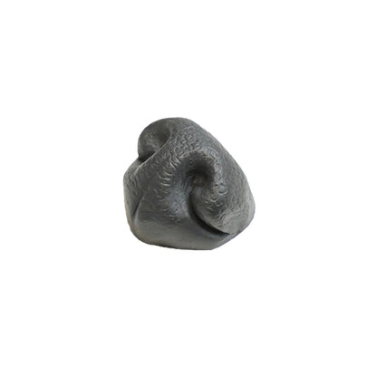 Dog Nose