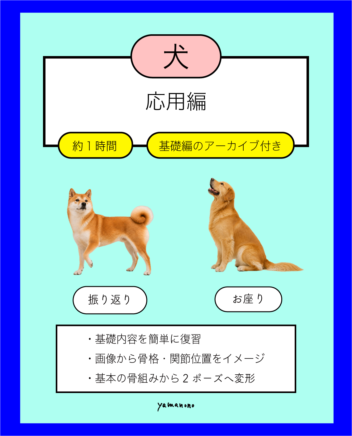 【9/7】犬の骨格イメージ講座 応用編