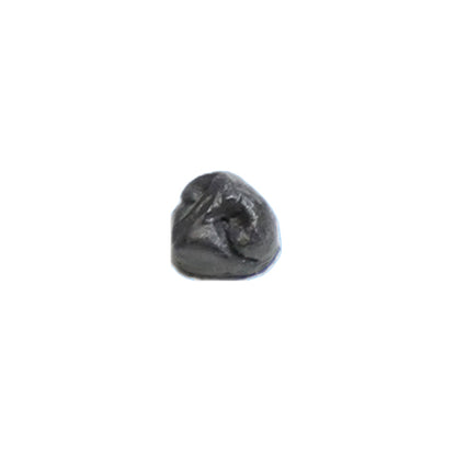 Dog Nose