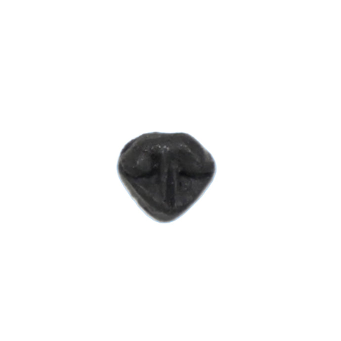Dog Nose (Short Nose Type)