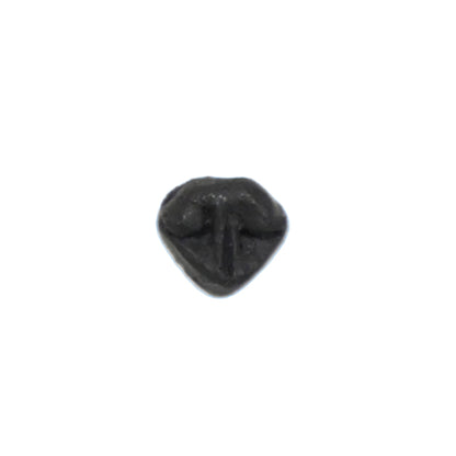 Dog Nose (Short Nose Type)