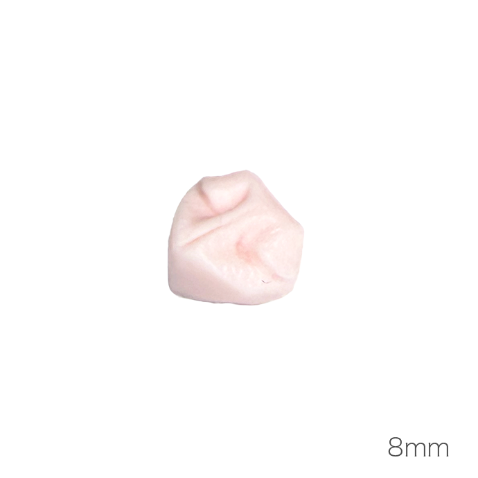개 코 (낮은 코 타입)