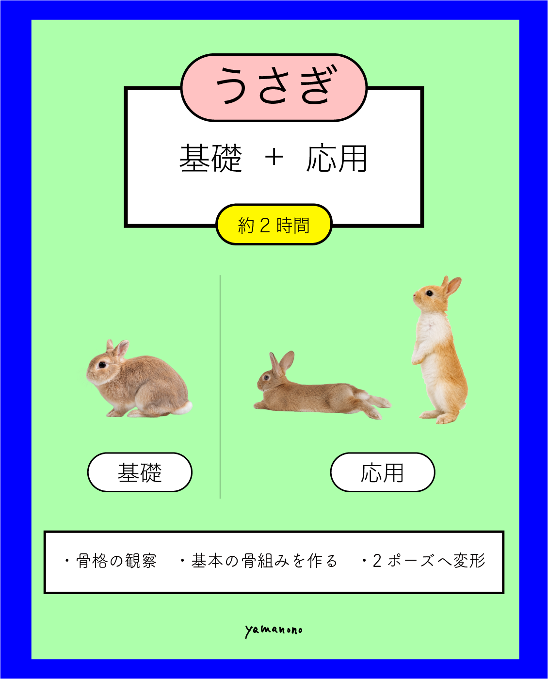 【9/7】うさぎの骨格イメージ講座 （基本の骨組みからポーズ変形まで）