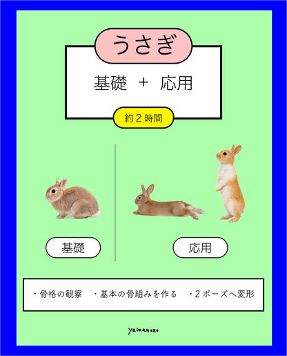 【9/7】うさぎの骨格イメージ講座 （基本の骨組みからポーズ変形まで）
